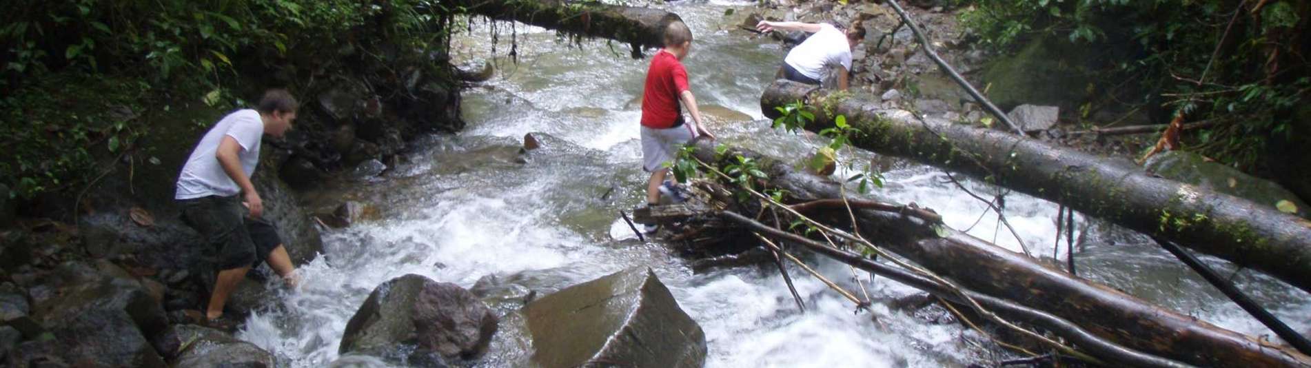 Serendipity Costa Rica guests crossing stream in cloud forest