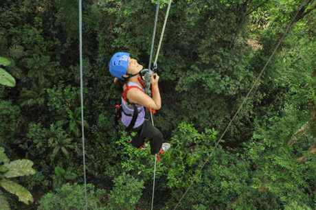 Serendipity Costa Rica platform in jungle - ascend by climbing up a rope 