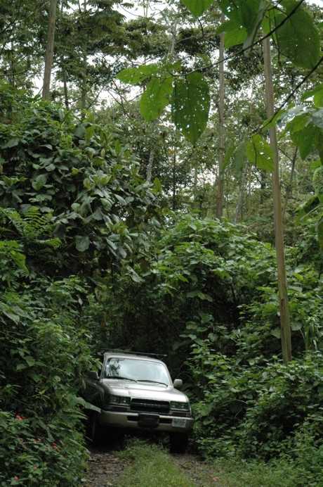 Serendipity Costa Rica 4x4 exits deep jungle cover