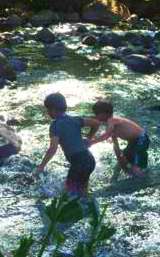 Boys playing in clear stream while picnicing in Serendipity Adventures ATV tour