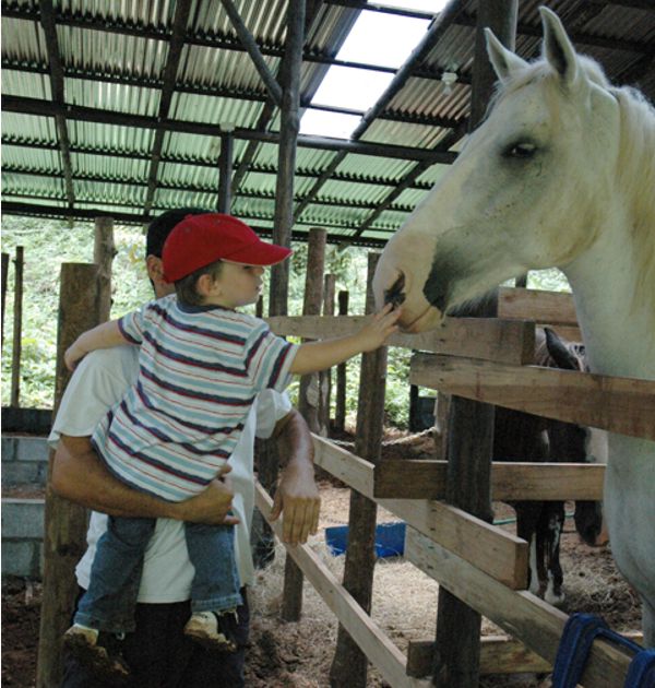 Costa Rica child touches horse's nose, enlarged