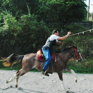 Costa Rica Cinta Horse Race