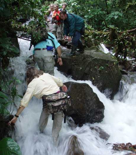 Serendipity Costa Rica crossing stream on log in primary forest