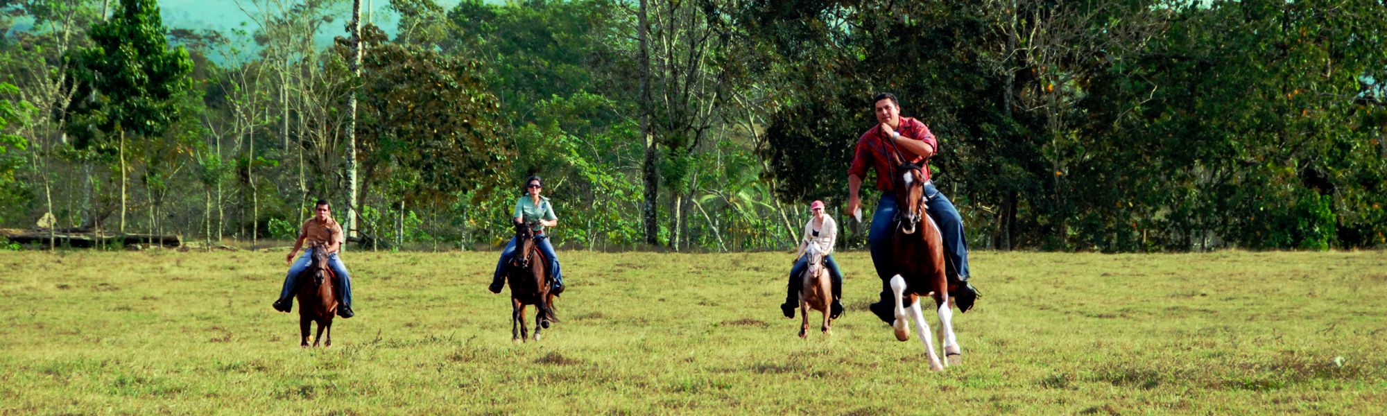 Serendipity horses running in open pasture, Costa Rica