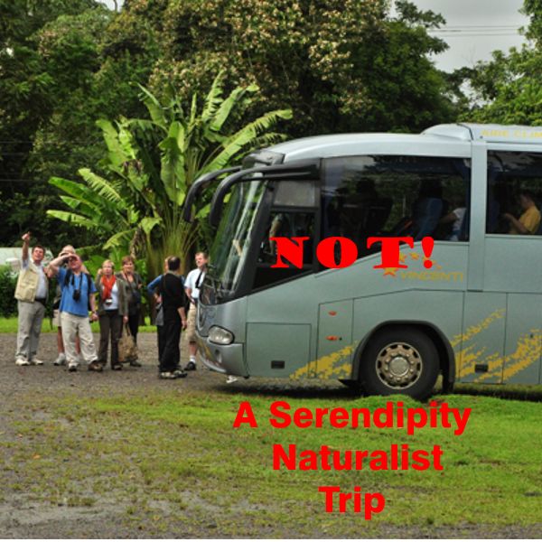 National Geographic tour group departs tour bus in Costa Rica
