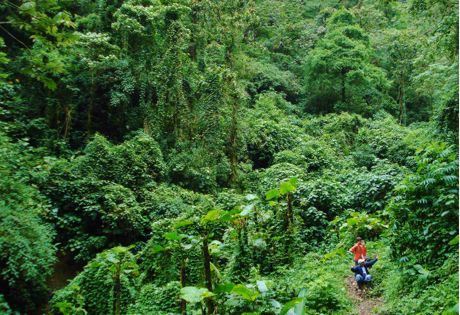 Costa Rica Cloud forest retreat, a favorite of Serendipity Adventures, in Costa Rica