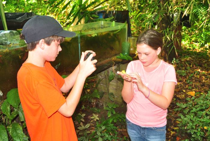 Private frog farm with rainforest plants