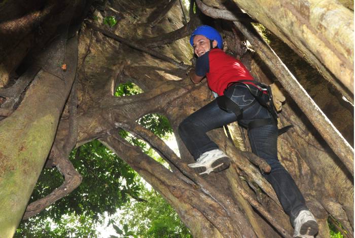 Climbing inside <em>Joseph</em>, Serendipity's rain forest giant tree - inside the trunk