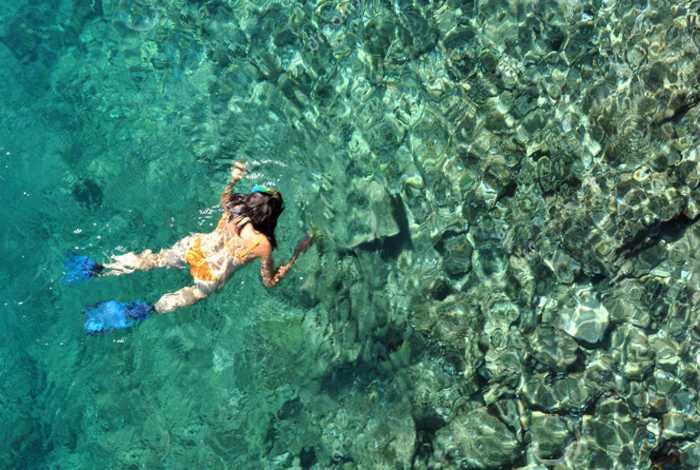 Snorkel with Serendipity on Caribbean Coast