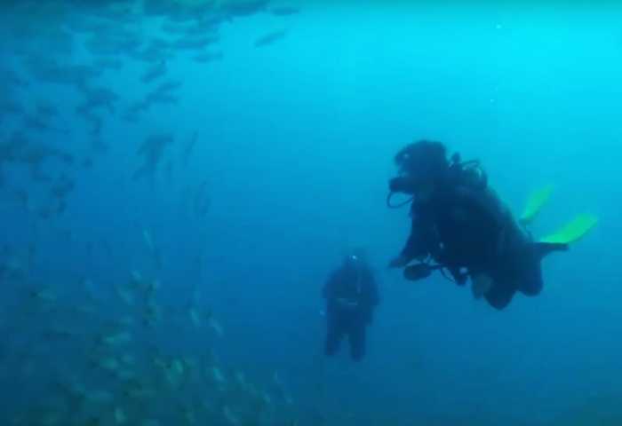 scuba diving with Serendipity Costa Rica