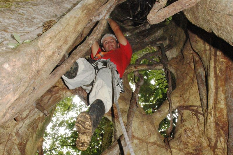 ascending inside strangler fig, a Serendipity Adventures exclusive adventure
