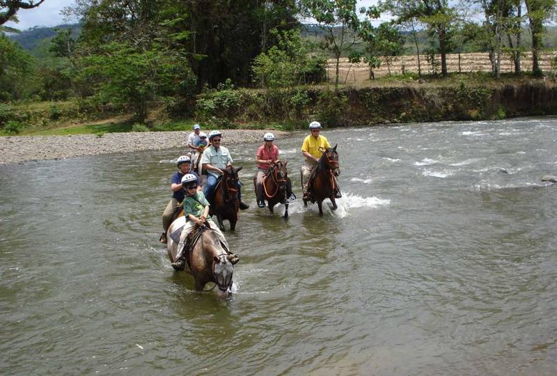 Serendipity horses crossing river
